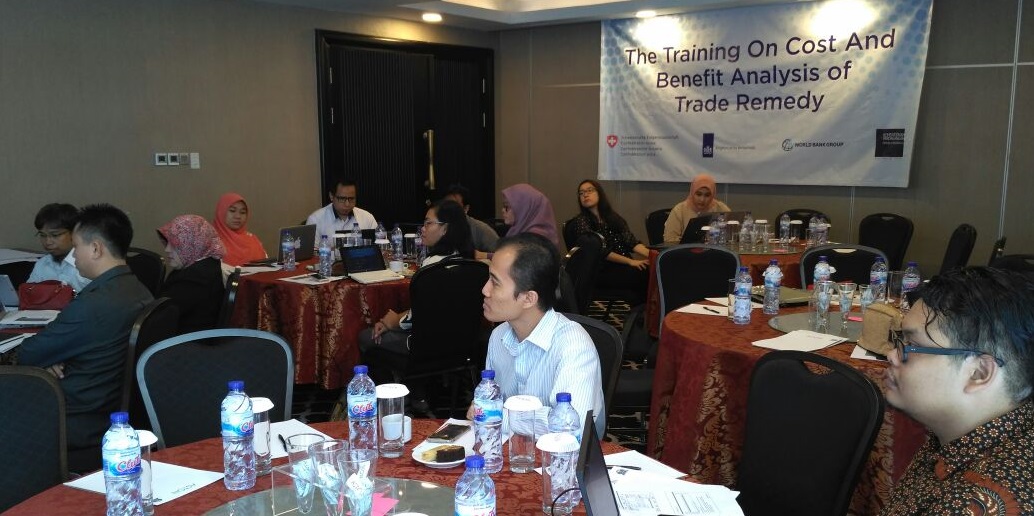 Foto Profil Training Industrial Data and Trade Remedies Analysis